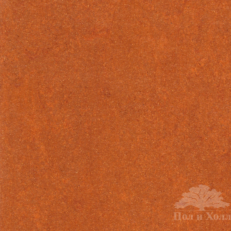 Armstrong linoleum discount