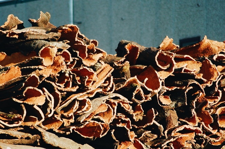 Кора пробкового дуба