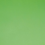 Спортивный линолеум Forbo SportLine Classic 3040 lime