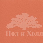 Спортивное покрытие Gerflor Taraflex Surface 6146 Coral