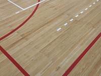 Укладка спортивного линолеума и нанесение разметки Центр профессиональной подготовки Росгвардии Спортивный зал