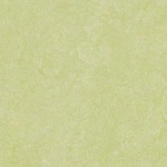 Натуральный линолеум Forbo Marmoleum Real 3881