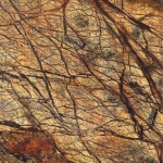 Пробковый пол Corksribas E-Cork Exclusive Stones FOREST