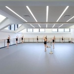 Сценический линолеум Grabo Evidance 60 1290_275