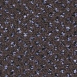 Ковролин Balsan Signature 790