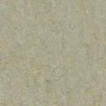 Натуральный линолеум Forbo Marmoleum Terra 5801