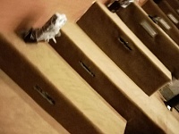 Укладка ковролина 388м2