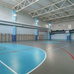 Спортивный линолеум Tarkett Omnisports R65 FIELD GREEN