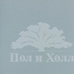 Спортивное покрытие Gerflor Taraflex Surface 6758 Silver Gray