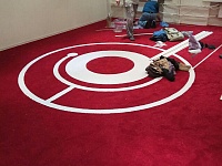 Укладка ковролина Comedy Club Офис компании