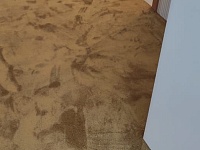 Укладка ковролина 80м2