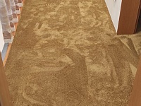 Укладка ковролина 80м2