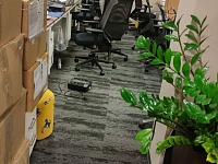 Укладка ковровой плитки для компании "Антон"