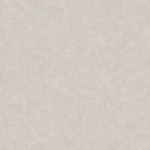 Линолеум Tarkett ACCZENT ESQUISSE 02