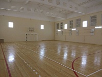 Укладка спортивного линолеума и нанесение разметки Центр профессиональной подготовки Росгвардии Спортивный зал