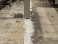 Укладка ковровой плитки для компании "Антон"