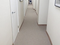Укладка ковровой плитки и монтаж плинтусов 230м2