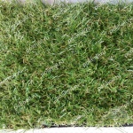 Искусственная трава ТРОПИКАНА 20 (4м)